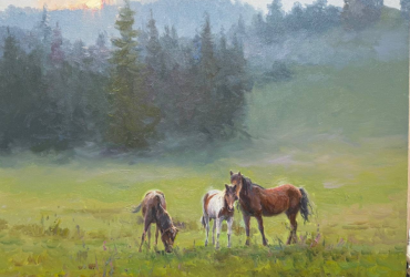 Утро в Толпарово 