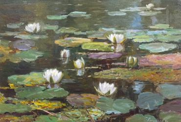 Кувшинки в Абрамцево 