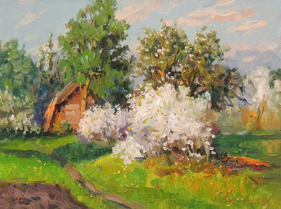 Родная Волга